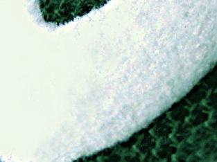 flockdruck_textil